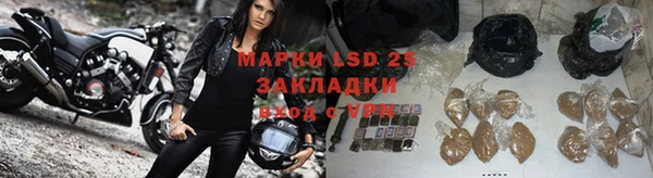 ГАЛЛЮЦИНОГЕННЫЕ ГРИБЫ Новокубанск