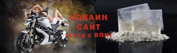 СК Новодвинск