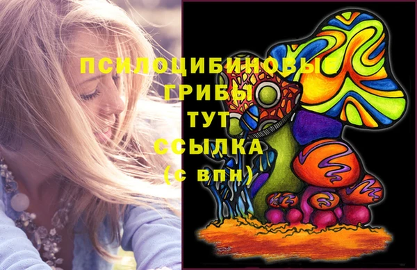 мет Аркадак