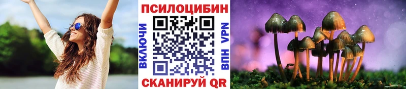Псилоцибиновые грибы Cubensis  гидра   Снежинск  сколько стоит 